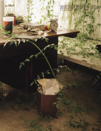 Click to download our most recent catalog Catalog