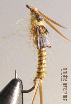 Download a PDF of the catalog