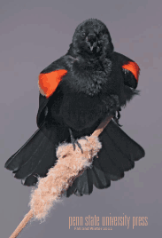 Click to download our most recent catalog Download a PDF of the catalog