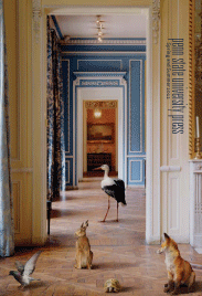 Cover for the Current Seasonal Catalog