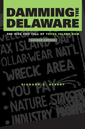 Cover image for Damming the Delaware: The Rise and Fall of Tocks Island Dam By Richard C. Albert