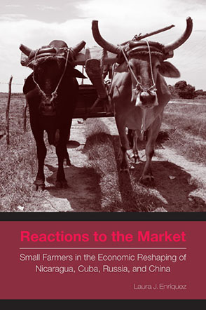 Cover image for Reactions to the Market: Small Farmers in the Economic Reshaping of Nicaragua, Cuba, Russia, and China By Laura J. Enríquez