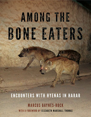Cover image for Among the Bone Eaters: Encounters with Hyenas in Harar By Marcus Baynes-Rock and Foreword by Elizabeth Marshall Thomas