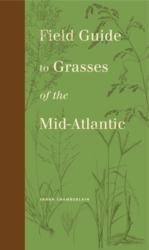 Cover image for Field Guide to Grasses of the Mid-Atlantic By Sarah Chamberlain