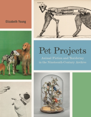 Cover image for Pet Projects: Animal Fiction and Taxidermy in the Nineteenth-Century Archive By Elizabeth Young