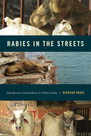Rabies in the Street