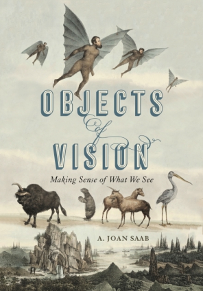 Cover image for Objects of Vision: Making Sense of What We See By A. Joan Saab