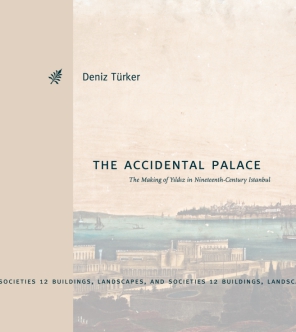 Cover for the book The Accidental Palace
