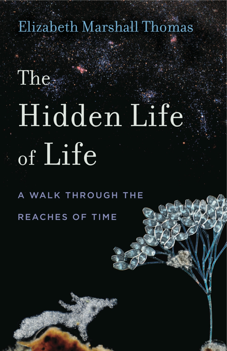 Cover for The Hidden Life of Life